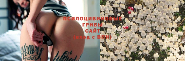 ешки Михайлов