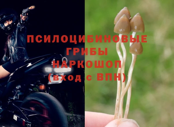 ешки Михайлов