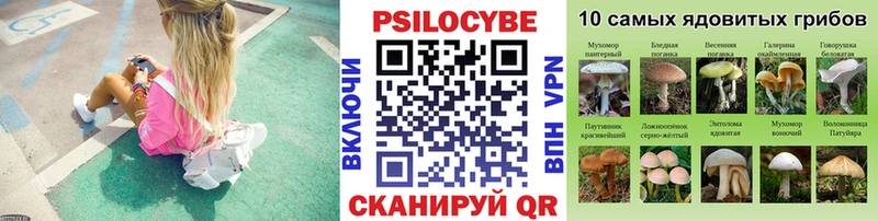 Псилоцибиновые грибы Cubensis  hydra онион  Черняховск 