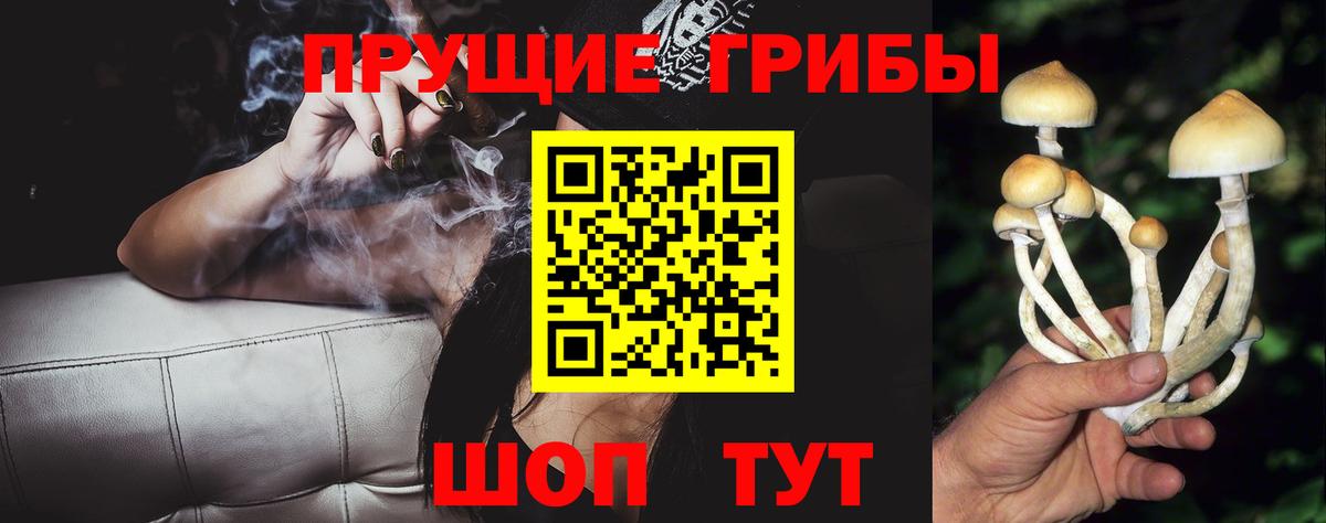 Галлюциногенные грибы ЛСД Черняховск