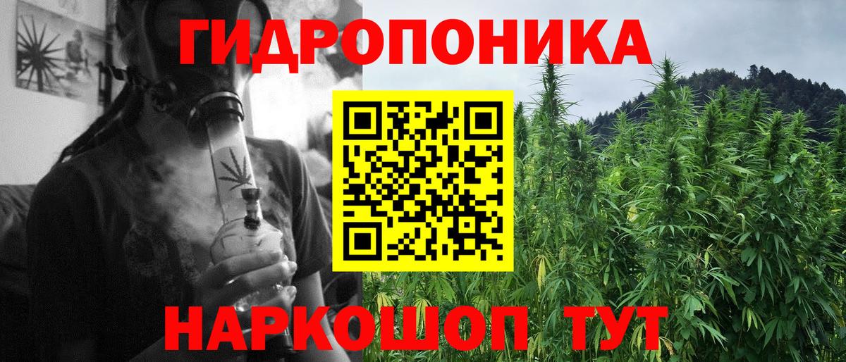 Бошки марихуана AK-47  Конопля OG Kush  Черняховск  Вход с VPN  МАРИХУАНА конопля 