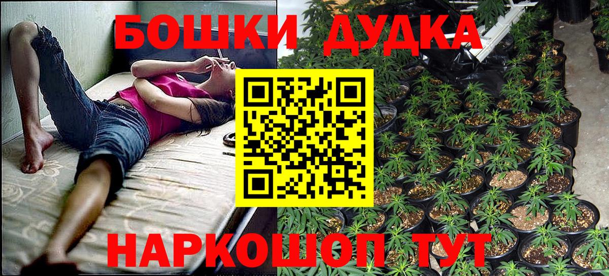 Канабис конопля  Черняховск  Канабис планчик  Бошки марихуана индика  Бошки Шишки Amnesia 